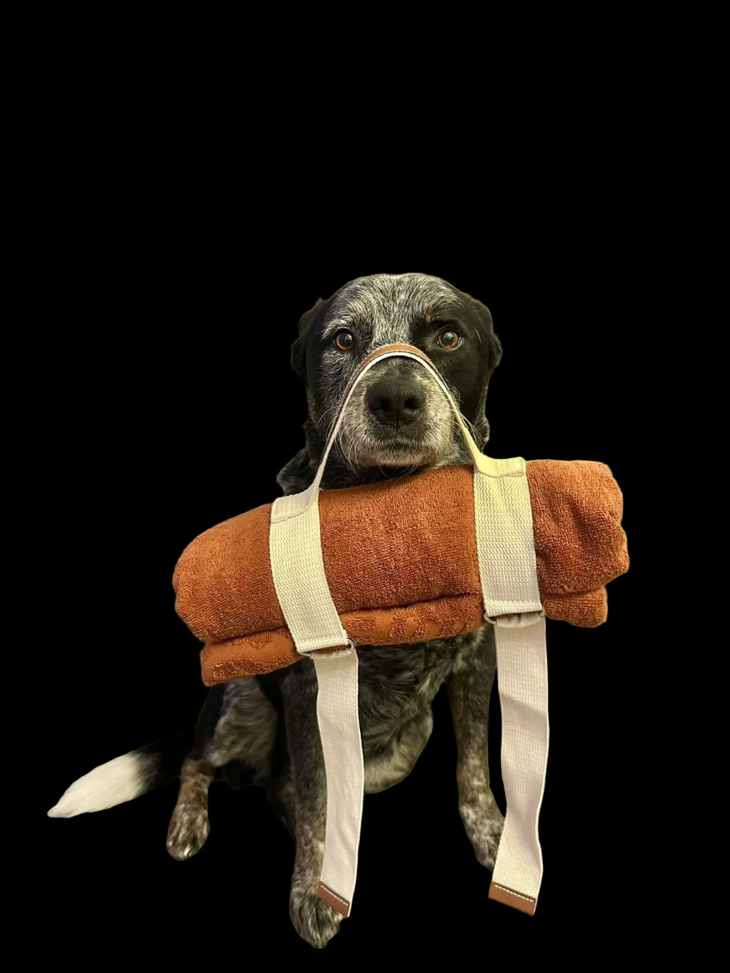 Multi-Purpose Carry Strap